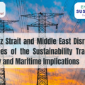 Online Energy Conference: Hormuz Strait and Middle East Disruptions in Times of the Sustainability Transition